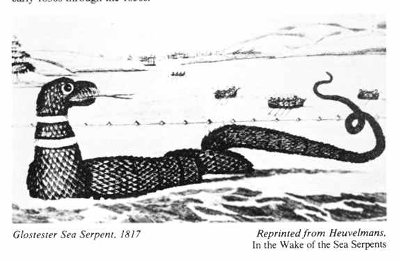 Glostester Sea Serpent, 1817